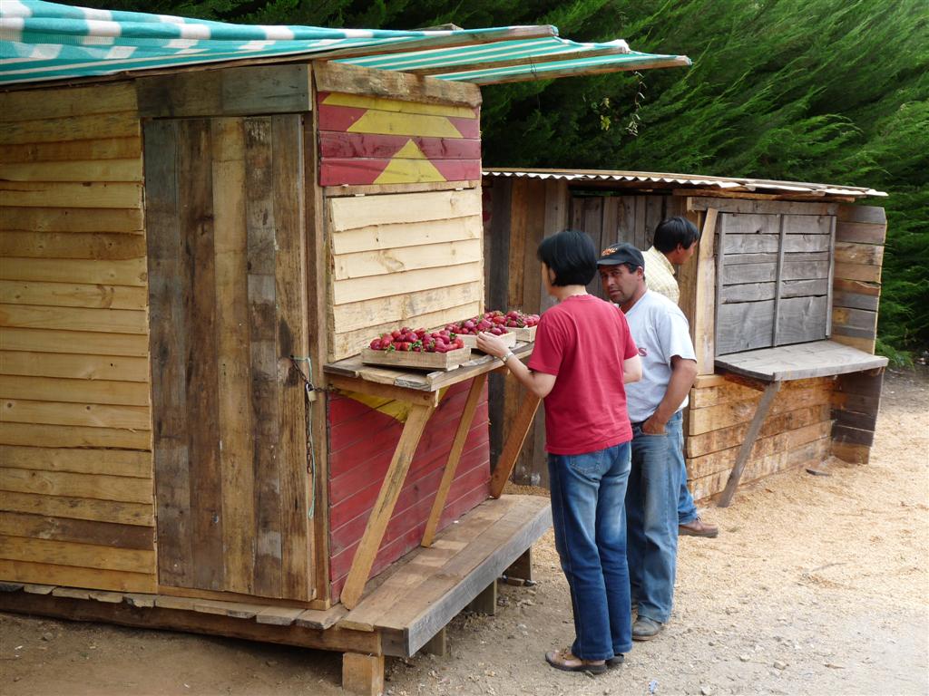 Chile: Buying Strawberries