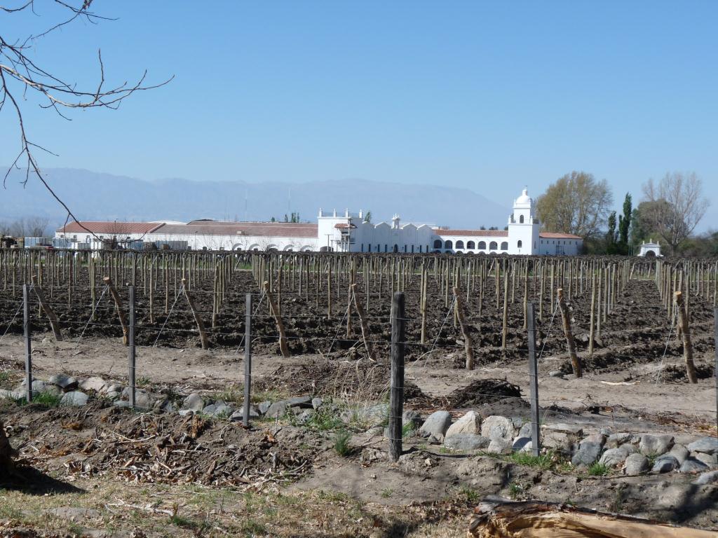Argentina: Winery in Cafayate District