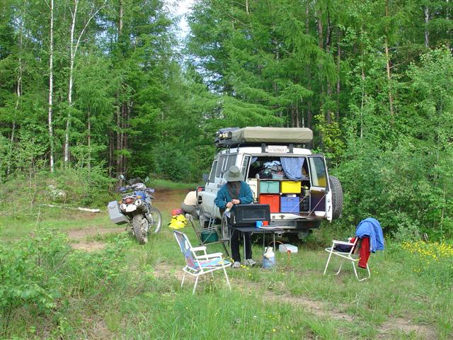 Russia: Camping with the insects