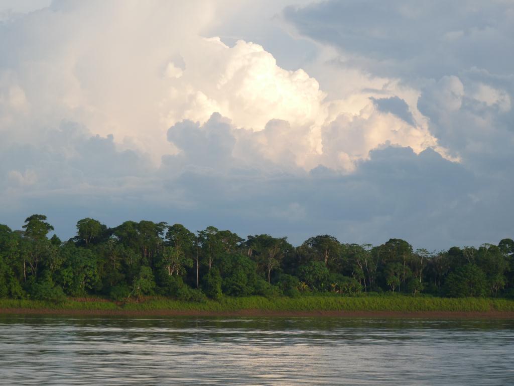 Brazil: Amazonas, Rio Madeira