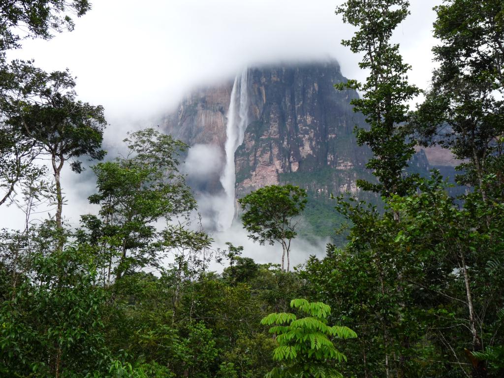 Venezuela: Angel Falls in Canaima National Park