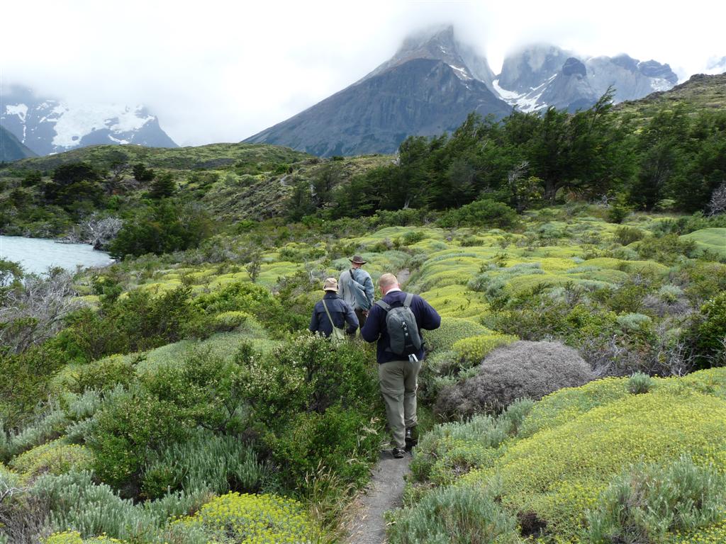 Chile: Torres del Paine National Park