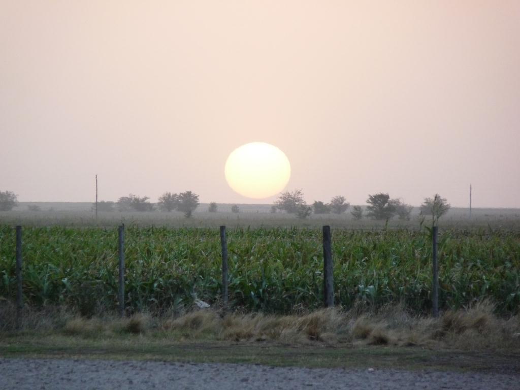 Argentina: Sunset view at Guamini