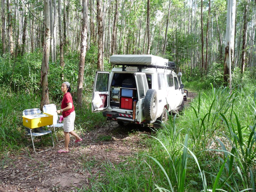 Brazil: Camping near Mambure