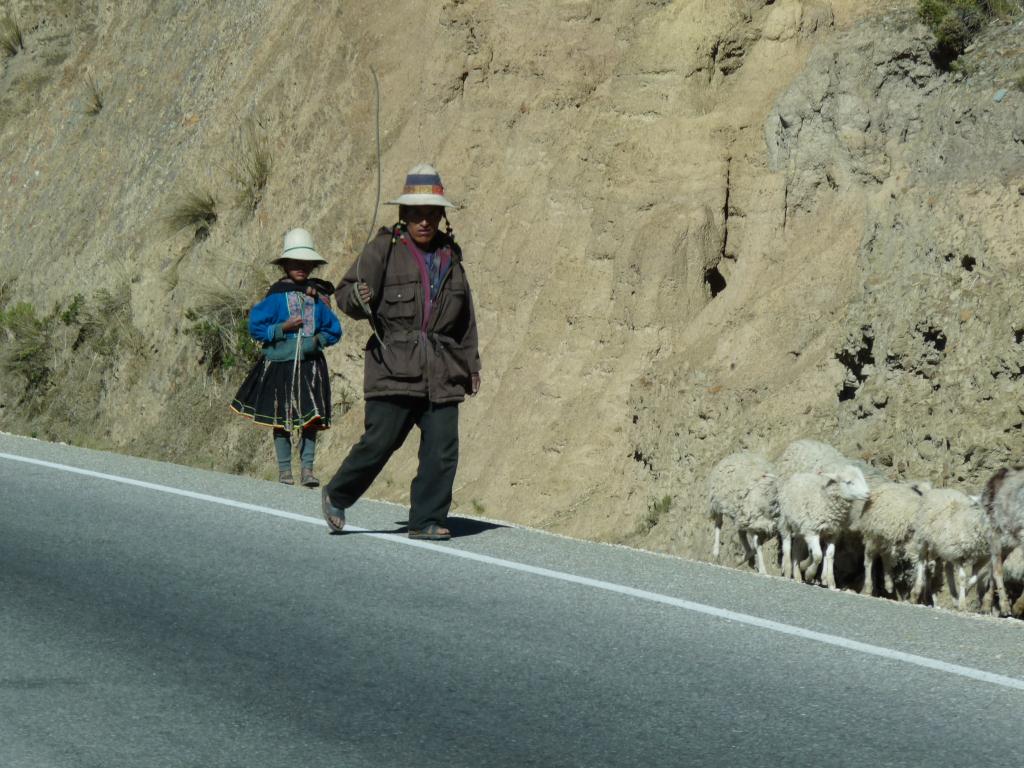 Bolivia: en route Cochabamba (3000m)