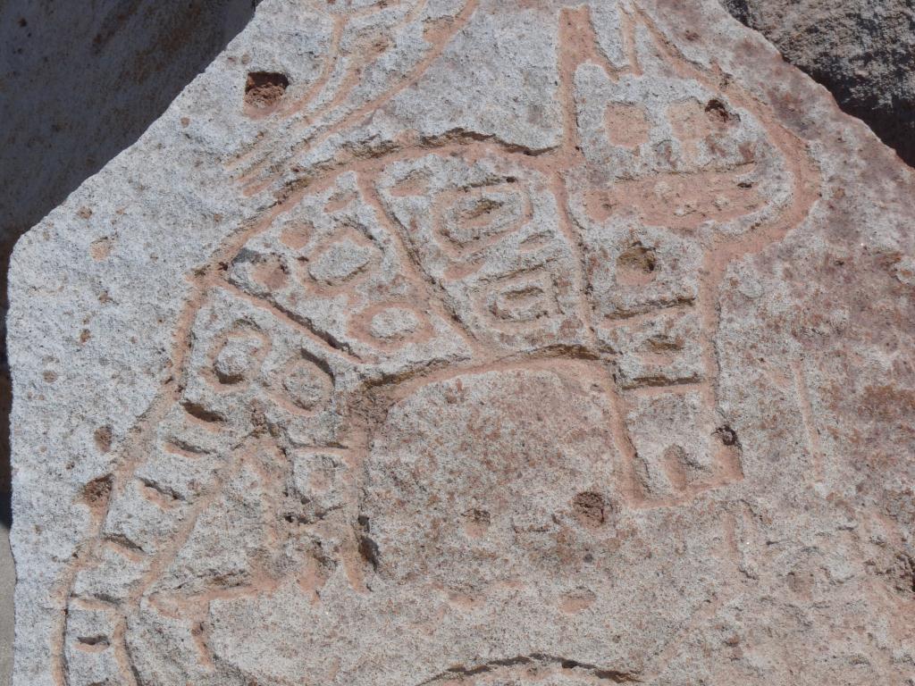 Peru: Toro Muerto Petroglyphs