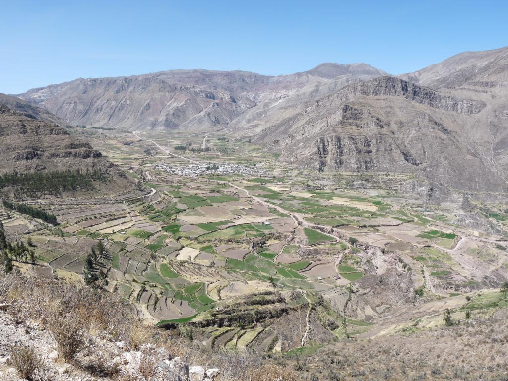 Peru: Colca Canyon