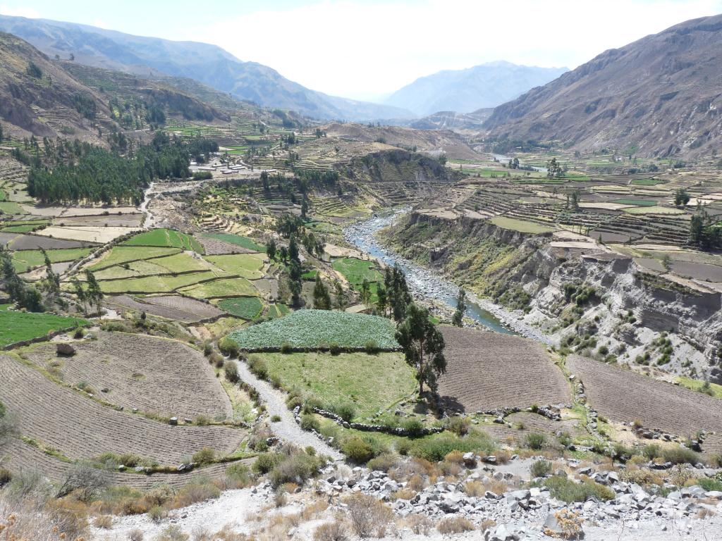 Peru: Colca Canyon