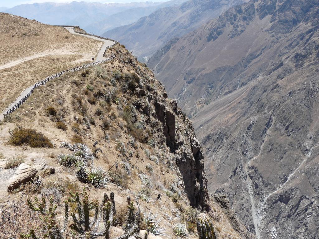 Peru: Colca Canyon, the second deepest canyon in the Americas at 3200m