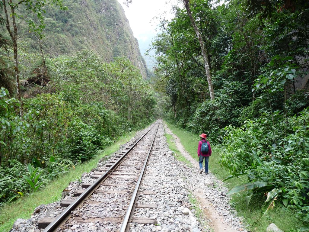 Peru: Walking from Aguas Calientes back to Hydro Electrica (10km)
