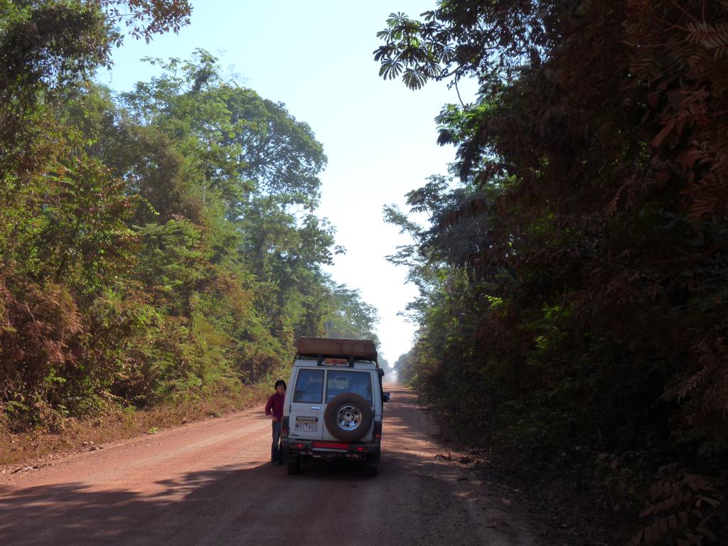 Bolivia: Ruta 8 (Amazon Basin)