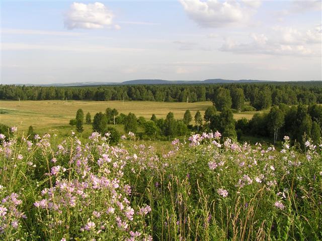 Russia: Countryside near Tumen