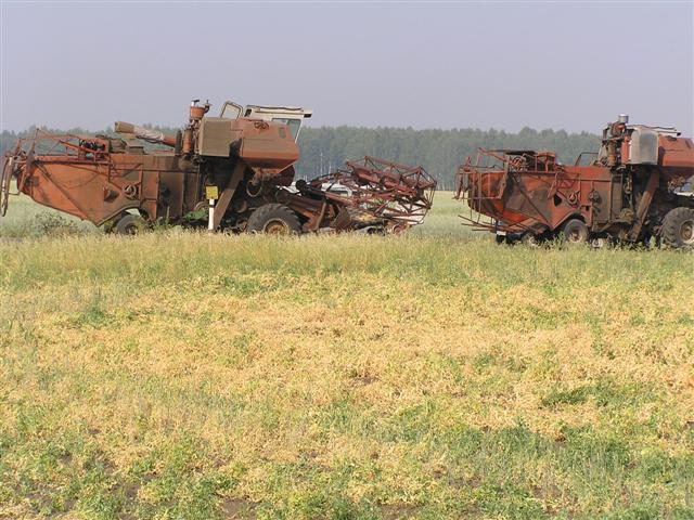Russia: Harvesting time