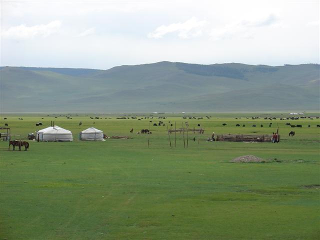 Mongolia: Common sight in Mongolia