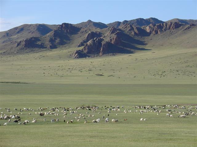 Mongolia: Grazing stock in yet another valley